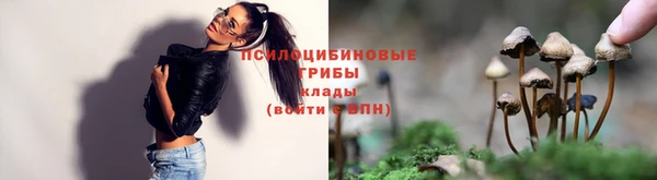 spice Осинники