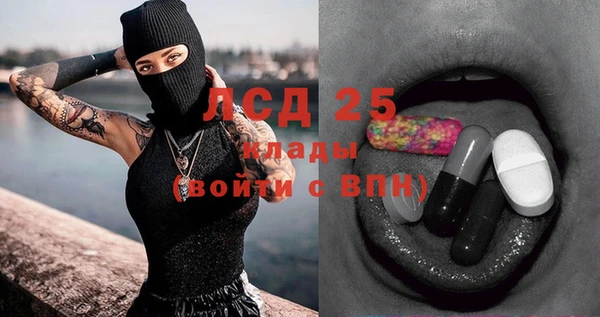 spice Осинники