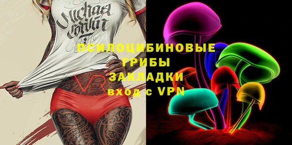 ГАЛЛЮЦИНОГЕННЫЕ ГРИБЫ Елабуга
