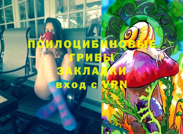 spice Осинники